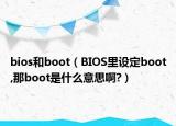 bios和boot（BIOS里設(shè)定boot,那boot是什么意思啊?）