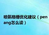 噴氨格柵優(yōu)化建議（penang怎么讀）