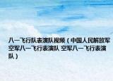 八一飛行隊表演隊視頻（中國人民解放軍空軍八一飛行表演隊 空軍八一飛行表演隊）
