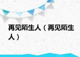 再見陌生人（再見陌生人）