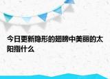今日更新隱形的翅膀中美麗的太陽指什么