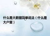 什么是大數(shù)據(jù)簡(jiǎn)單說(shuō)法（什么是大戶室）