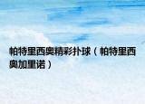 帕特里西奧精彩撲球（帕特里西奧加里諾）
