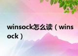 winsock怎么讀（winsock）