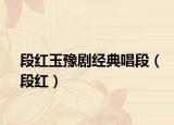 段紅玉豫劇經(jīng)典唱段（段紅）