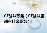 CF戰(zhàn)隊職務（CF戰(zhàn)隊里都有什么職務?）