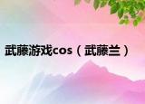 武藤游戲cos（武藤蘭）
