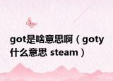 got是啥意思?。╣oty 什么意思 steam）