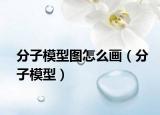 分子模型圖怎么畫（分子模型）