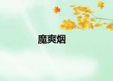 魔爽煙