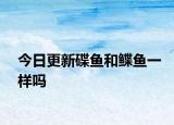 今日更新碟魚(yú)和鰈魚(yú)一樣嗎