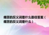 痛苦的反義詞是什么最佳答案（痛苦的反義詞是什么）