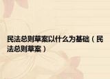 民法總則草案以什么為基礎(chǔ)（民法總則草案）