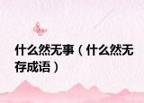 什么然無事（什么然無存成語）