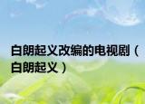 白朗起義改編的電視?。ò桌势鹆x）
