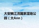 大安嫩江灣國(guó)家濕地公園（大Ann）