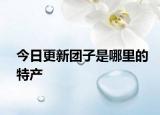 今日更新團(tuán)子是哪里的特產(chǎn)