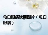 龜白眼病晚期圖片（龜白眼?。? /></span></a>
                        <h2><a href=