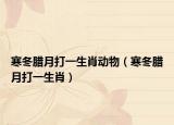 寒冬臘月打一生肖動(dòng)物（寒冬臘月打一生肖）
