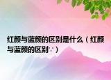 紅顏與藍顏的區(qū)別是什么（紅顏與藍顏的區(qū)別∵）