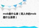 mob是什么番（同人中的mob是什么意思）