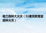 格蘭森林大火災(zāi)（51麥克默里堡森林火災(zāi)）