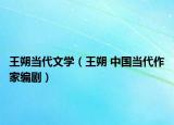王朔當(dāng)代文學(xué)（王朔 中國(guó)當(dāng)代作家編劇）