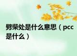 劈柴處是什么意思（pcc是什么）