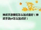 神武手游普陀怎么加點(diǎn)最好（神武手游pt怎么加點(diǎn)好）