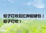 蚊子叮咬后紅腫起硬包（蚊子叮咬）