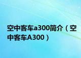 空中客車a300簡介（空中客車A300）