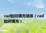 cad如何填充墻體（cad如何填充）