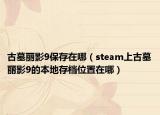 古墓麗影9保存在哪（steam上古墓麗影9的本地存檔位置在哪）