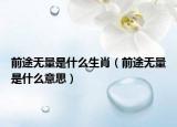前途無量是什么生肖（前途無量是什么意思）