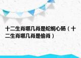 十二生肖哪幾肖是蛇蝎心腸（十二生肖哪幾肖是偷肖）