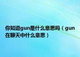 你知道gun是什么意思嗎（gun在聊天中什么意思）