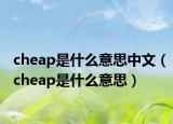 cheap是什么意思中文（cheap是什么意思）