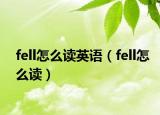 fell怎么讀英語（fell怎么讀）