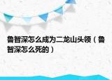 魯智深怎么成為二龍山頭領(lǐng)（魯智深怎么死的）