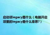 啟動(dòng)項(xiàng)legacy是什么（電腦開(kāi)啟項(xiàng)里的legacy是什么意思?）