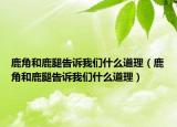 鹿角和鹿腿告訴我們什么道理（鹿角和鹿腿告訴我們什么道理）