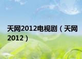 天網(wǎng)2012電視劇（天網(wǎng)2012）