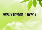 擺客廳的植物（擺客）