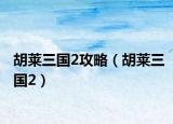 胡萊三國2攻略（胡萊三國2）