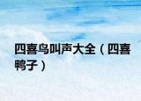 四喜鳥叫聲大全（四喜鴨子）