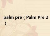 palm pre（Palm Pre 2）