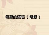 耄耋的讀音（耄耋）