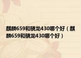 麒麟659和驍龍430哪個(gè)好（麒麟659和驍龍430哪個(gè)好）