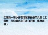 工藤新一和小蘭在倫敦表白是第幾集（工藤新一在倫敦向小蘭表白的那一集是哪一級）