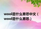 wool是什么意思中文（wool是什么意思）